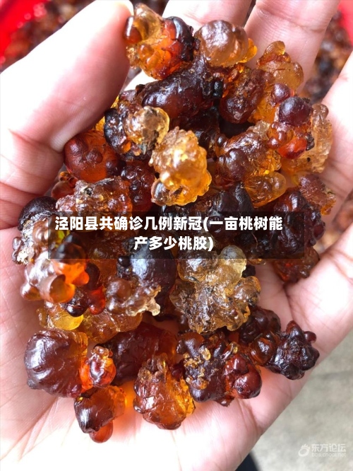 泾阳县共确诊几例新冠(一亩桃树能产多少桃胶)