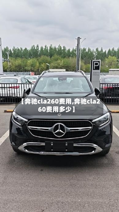 【奔驰cla260费用,奔驰cla260费用多少】