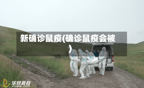 新确诊鼠疫(确诊鼠疫会被)-第2张图片