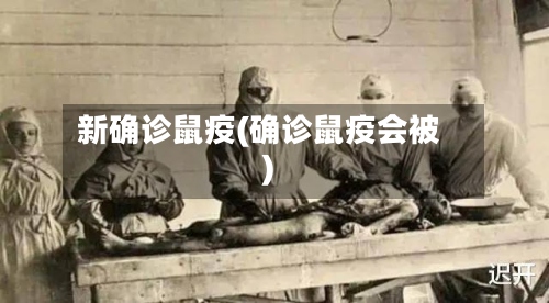 新确诊鼠疫(确诊鼠疫会被)