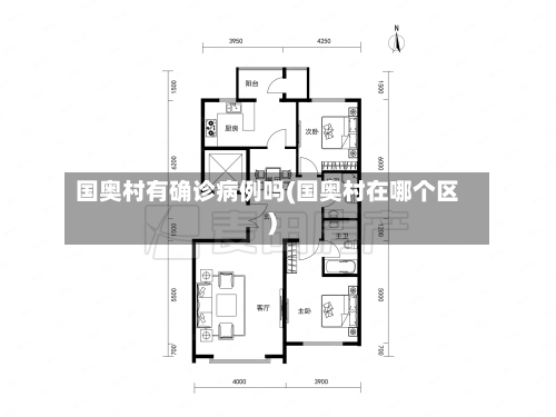 国奥村有确诊病例吗(国奥村在哪个区)