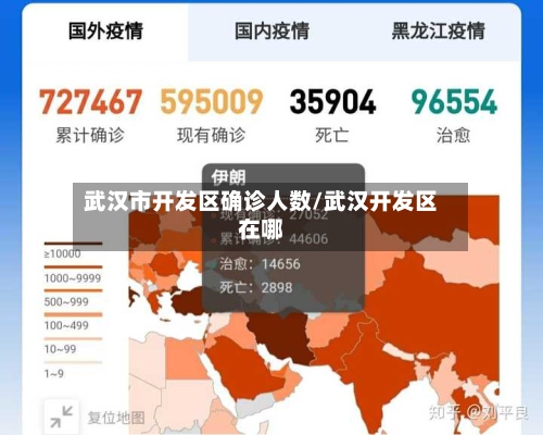 武汉市开发区确诊人数/武汉开发区在哪