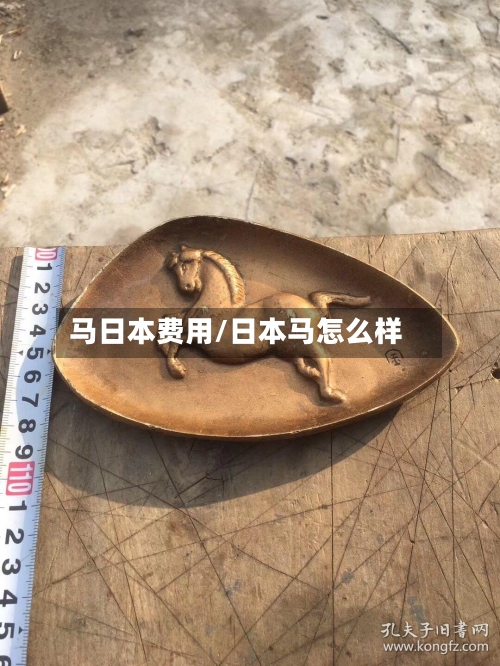 马日本费用/日本马怎么样