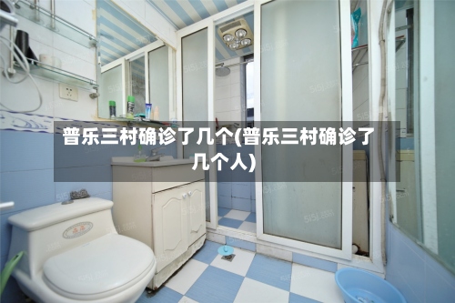 普乐三村确诊了几个(普乐三村确诊了几个人)-第2张图片