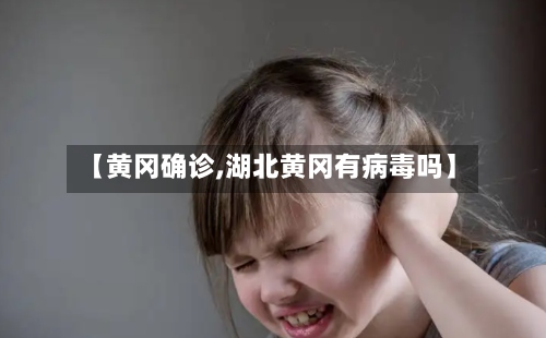 【黄冈确诊,湖北黄冈有病毒吗】