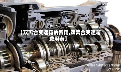 【双离合变速箱的费用,双离合变速箱费用表】-第3张图片