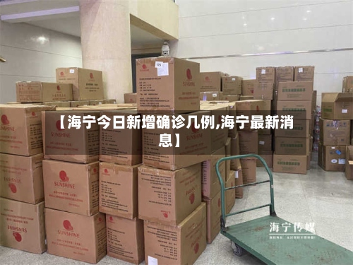 【海宁今日新增确诊几例,海宁最新消息】-第2张图片