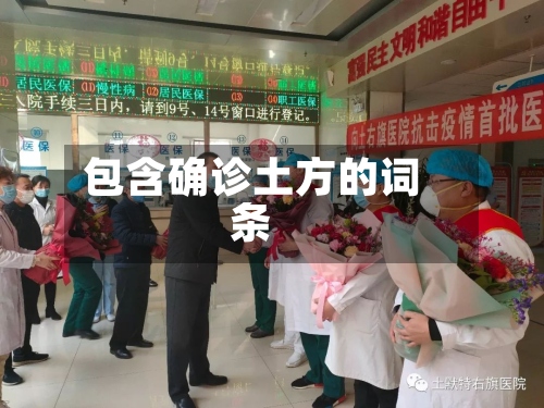 包含确诊土方的词条-第2张图片