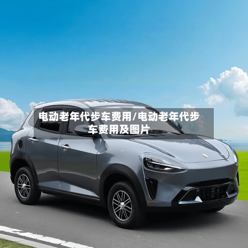 电动老年代步车费用/电动老年代步车费用及图片