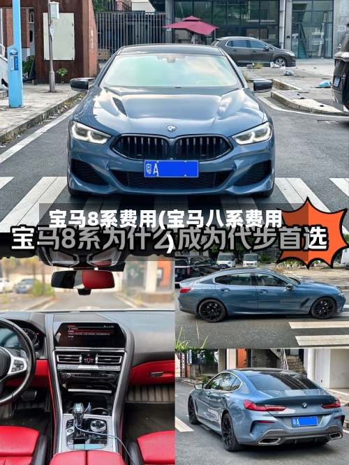 宝马8系费用(宝马八系费用)