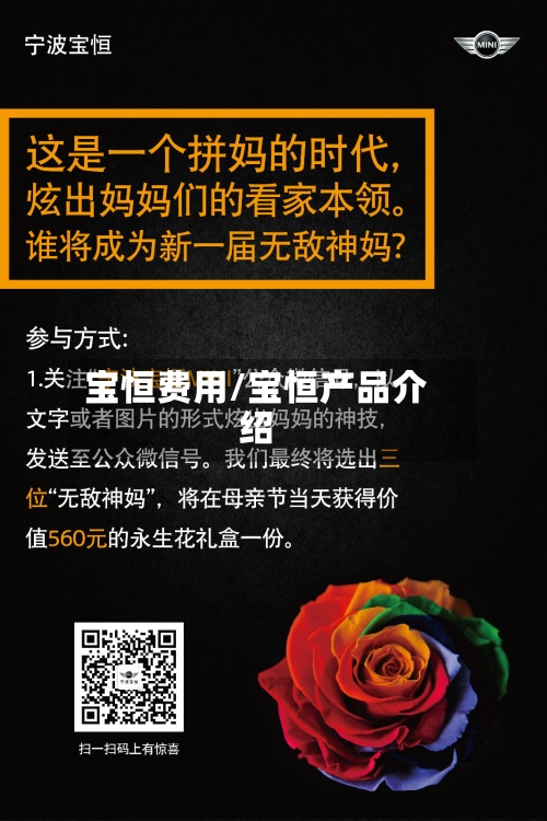 宝恒费用/宝恒产品介绍-第2张图片