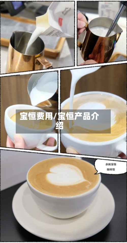 宝恒费用/宝恒产品介绍