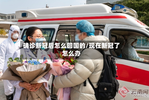 确诊新冠后怎么回国的/现在新冠了怎么办-第2张图片