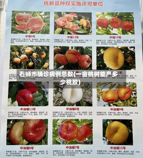 石狮市确诊病例总数(一亩桃树能产多少桃胶)