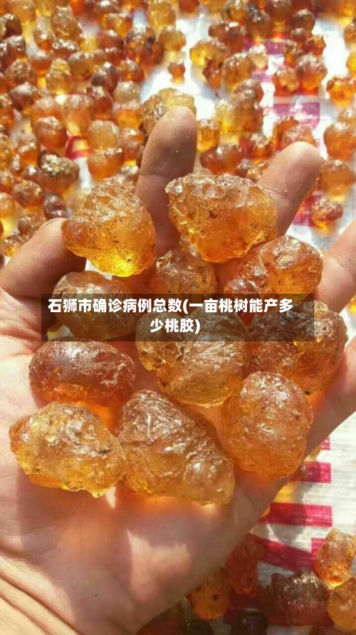石狮市确诊病例总数(一亩桃树能产多少桃胶)-第2张图片