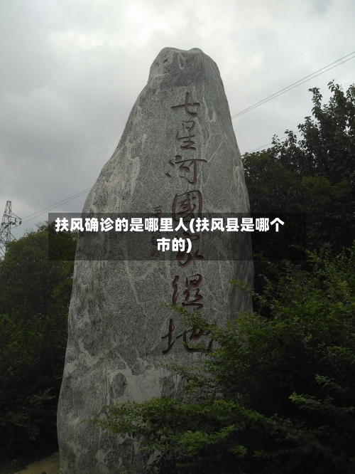 扶风确诊的是哪里人(扶风县是哪个市的)-第2张图片