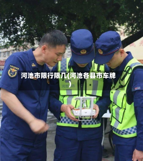 河池市限行限几(河池各县市车牌)-第2张图片