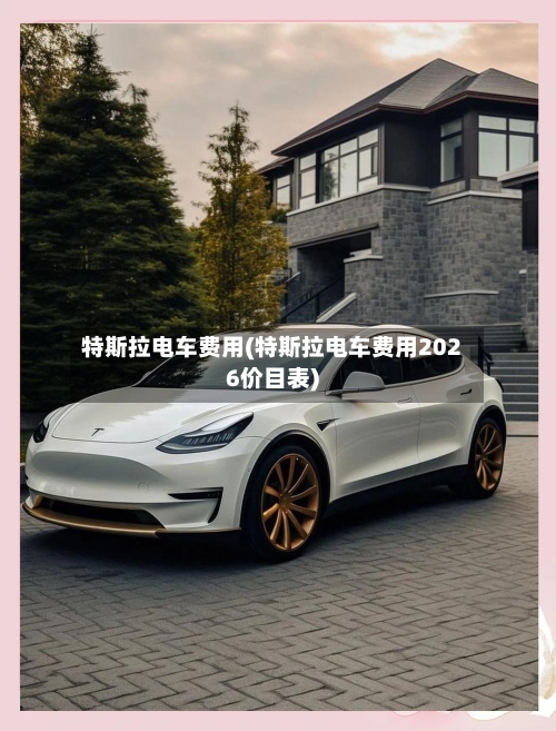 特斯拉电车费用(特斯拉电车费用2026价目表)