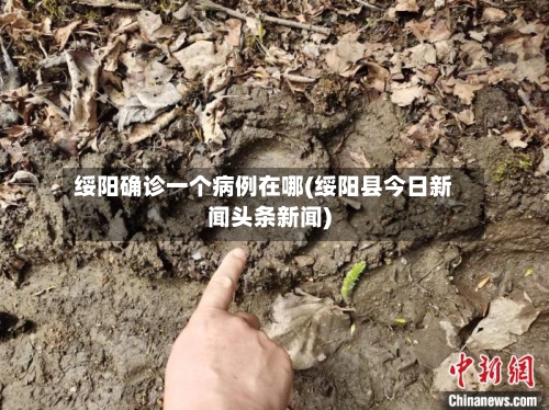 绥阳确诊一个病例在哪(绥阳县今日新闻头条新闻)-第2张图片