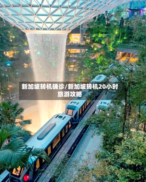 新加坡转机确诊/新加坡转机20小时旅游攻略