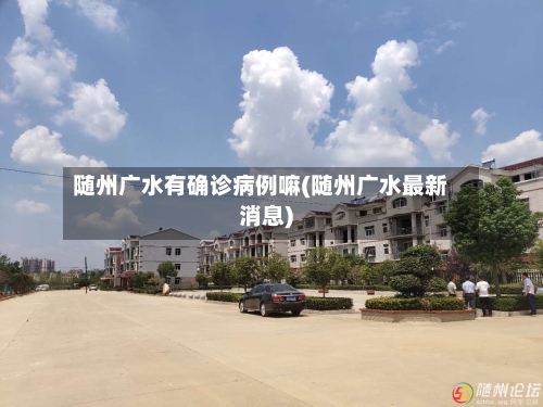 随州广水有确诊病例嘛(随州广水最新消息)-第2张图片