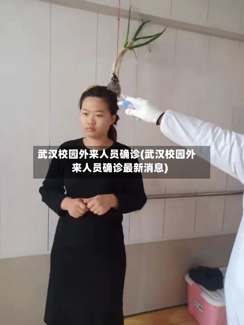 武汉校园外来人员确诊(武汉校园外来人员确诊最新消息)-第3张图片