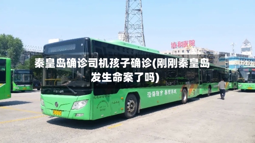 秦皇岛确诊司机孩子确诊(刚刚秦皇岛发生命案了吗)-第2张图片