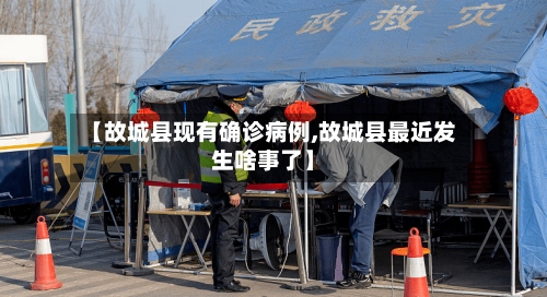 【故城县现有确诊病例,故城县最近发生啥事了】-第2张图片
