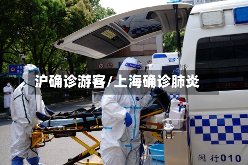 沪确诊游客/上海确诊肺炎