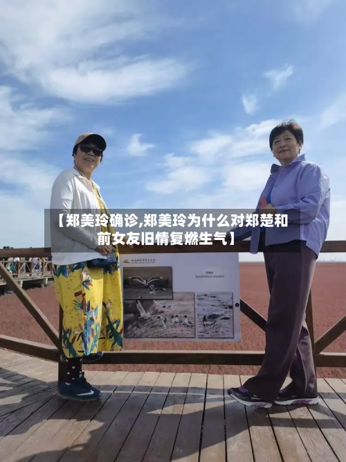 【郑美玲确诊,郑美玲为什么对郑楚和前女友旧情复燃生气】-第2张图片