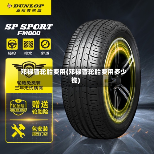 邓禄普轮胎费用(邓禄普轮胎费用多少钱)-第2张图片