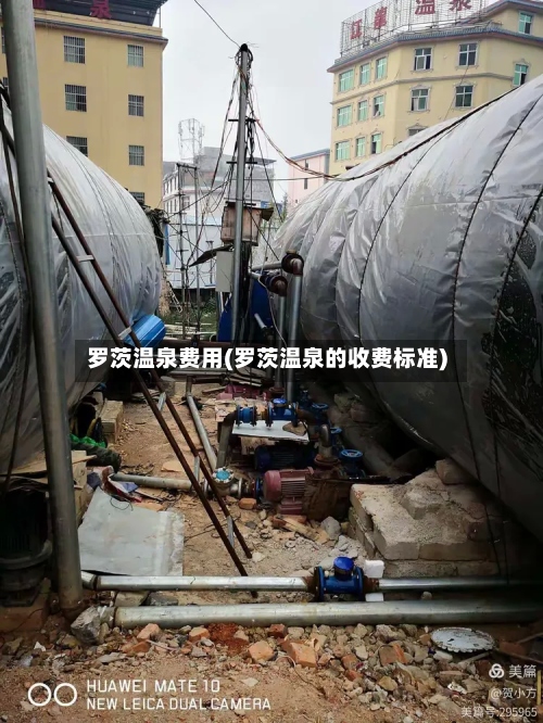 罗茨温泉费用(罗茨温泉的收费标准)