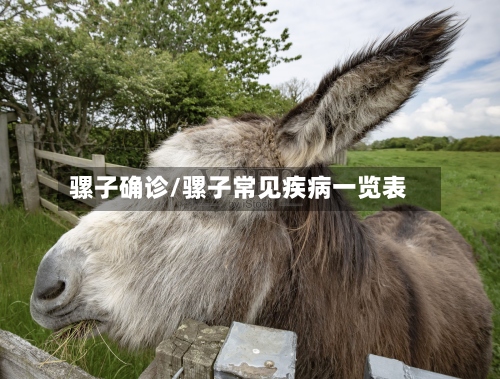 骡子确诊/骡子常见疾病一览表