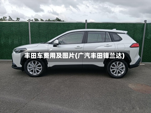 丰田车费用及图片(广汽丰田锋兰达)-第3张图片