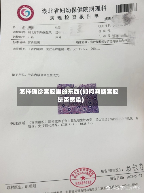 怎样确诊宫腔里的东西(如何判断宫腔是否感染)-第2张图片