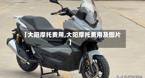 【大阳摩托费用,大阳摩托费用及图片】-第2张图片