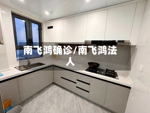 南飞鸿确诊/南飞鸿法人-第2张图片