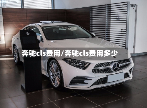 奔驰cls费用/奔驰cls费用多少-第2张图片