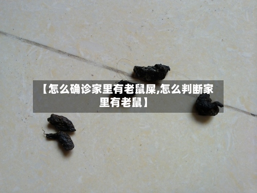 【怎么确诊家里有老鼠屎,怎么判断家里有老鼠】