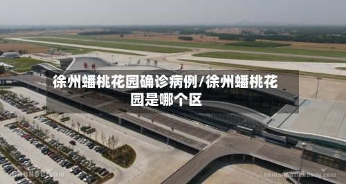 徐州蟠桃花园确诊病例/徐州蟠桃花园是哪个区-第3张图片
