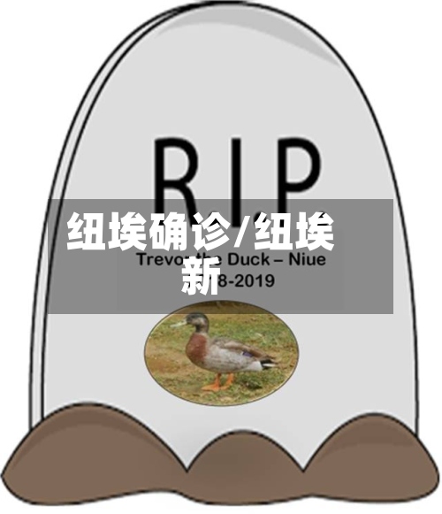 纽埃确诊/纽埃新-第2张图片