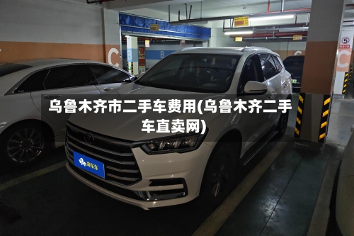 乌鲁木齐市二手车费用(乌鲁木齐二手车直卖网)-第3张图片
