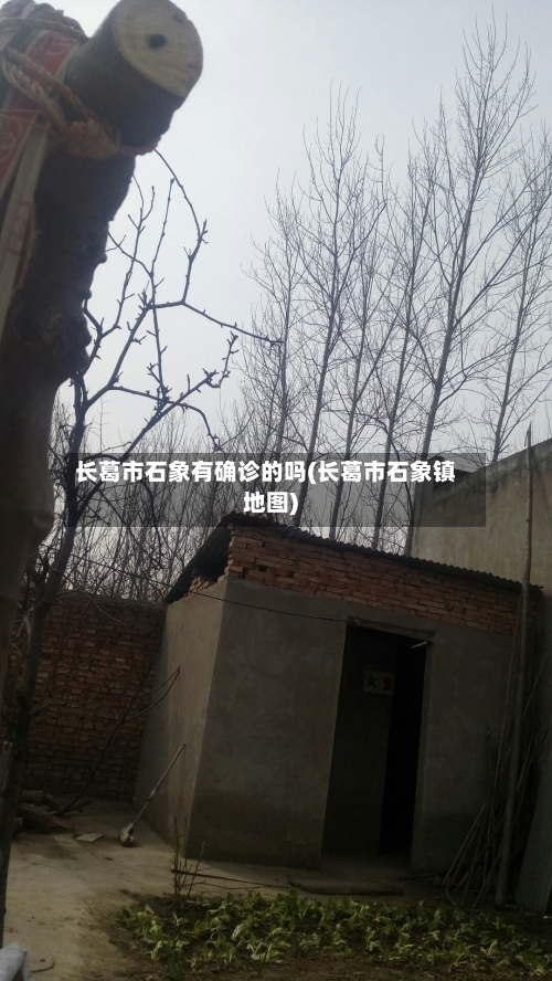 长葛市石象有确诊的吗(长葛市石象镇地图)