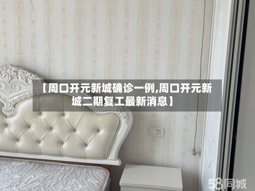 【周口开元新城确诊一例,周口开元新城二期复工最新消息】-第3张图片