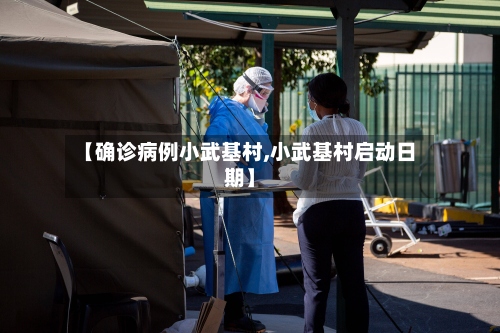 【确诊病例小武基村,小武基村启动日期】