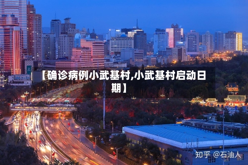 【确诊病例小武基村,小武基村启动日期】-第2张图片
