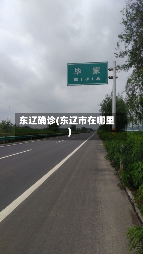 东辽确诊(东辽市在哪里)-第2张图片