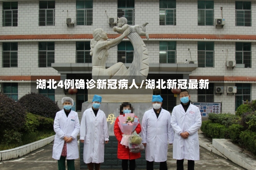 湖北4例确诊新冠病人/湖北新冠最新