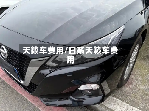 天籁车费用/日系天籁车费用