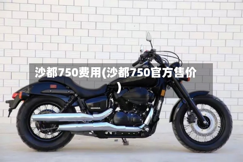 沙都750费用(沙都750官方售价)